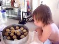 Pheasants Hatching
