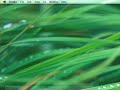 MacTips: Exploring Quicksilver Interfaces