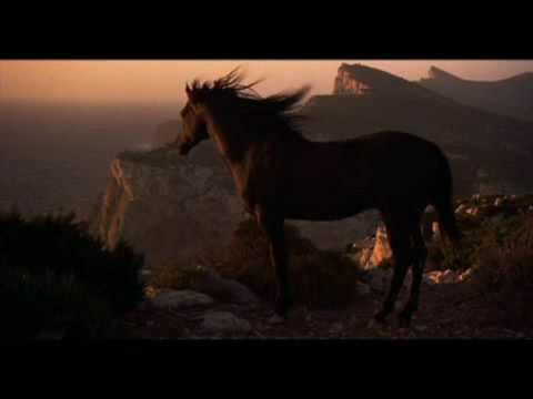 Stallion - Scenes from film Black Stallion, music: The Voice, Eimear Quinn _____ 100.000 views!! thanks to all of you who watched and liked my video :)