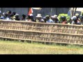 Madura Traditional Bull Race