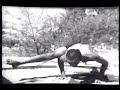 Iyengar Video 2