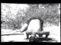 Iyengar Video 2