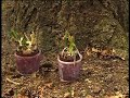Natuurbegraafplaats \ Natuurbegraafplaats \