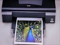 Nueva Epson High performance C110-Color Nueva Epson High performance C110-Color