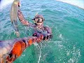 Click here to watch this video SPIGOLONA 7 KG ALL'ASPETTO