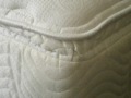 Mattress Treatment to prevent and kill Bedbugs