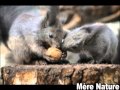 Video de la Nature et de l'océan Par Mère Nature