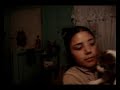 gato con miedo gato con miedo