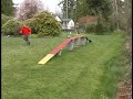 kleptos-dog-walk.html