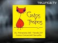 Bailes, autos y cantos frikis | Telurica TV 378