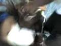 videos de la fete a chepe