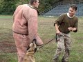 dresaj malinois,dresaj cluj,dresaj caini atac, dresaj caini de companie, dresaj de performanta, dresaj de ring, matyas laszlo - instructor dresor si atentator atestat achr