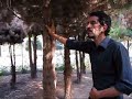 Majidi Tamrine Avaz Esfehan Sonnati Ghazale Khdahafezi