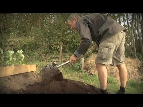 how to prepare a vegetable patch