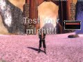 ギルドウォーズ動画