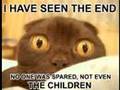 It's Caturday