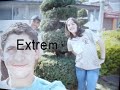 extrema 2008