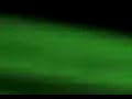 razer 2008