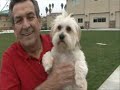 DARLAtheCELEBRITYdoggyFROMriversideCALIFORNIA.wmv