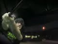 Bohemian Rhapsody In Car pt 1