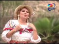 Amanda Portales - Suena la Tinya