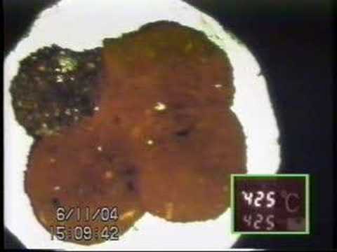 Oil generation from lignite (B4)