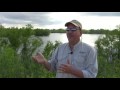 A Levee Runs Through It: Reconnecting the Ouachita River to Its Floodplain