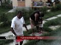 VIYANA\ VIYANA\
