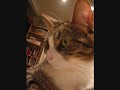 copernicus being cute