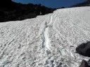 Mount Saint Helens Glisading #1