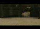 Shaone and Milan - Part 2