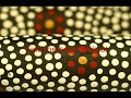 Authentic Australian Aboriginal Art Paintings