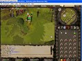 RuneScape Pking G maul