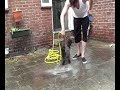 washing my dog shabby washing my dog shabby
