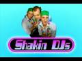 Shakin Djs ft Katja - Parapapa