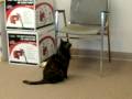 videos de Missy 1-7-09 004
