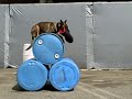 Fred Hassen of Sit Means Sit Dog Training, Doing A Demo