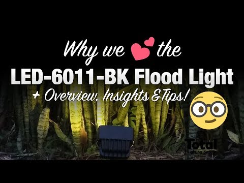 为什么我们喜欢可以的棋牌游戏-6011-BK户外景观照明投光灯+概述,见解和提示