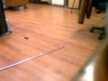 (uploaded by GodHammer)&nbsp;Litle rc car on deal extreme