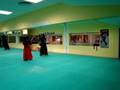 videos de kempo kembudo