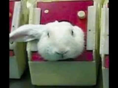 Image de prévisualisation YouTube