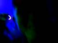 videos de moh 2008 3.3GP