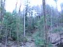 Ziplining Clip 14