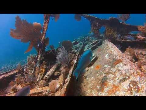 scuba diving - Marathon, Florida (July 2012). The footage of the wreck is from Key Largo. All was filmed with the GoPro HD Hero2 with the dive lens over about a period of 5...
