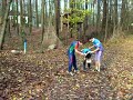 Szenen aus dem Wald Szenen aus dem Wald