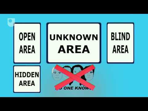 how to use the johari window