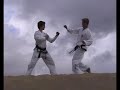 International Taekwondo Federation (ITF) Promotion Video