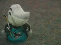 Sharkie & The Hockey Song