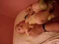 vid-abuelo vid-abuelo