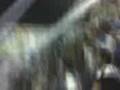 videos de RACING DE CBA 2